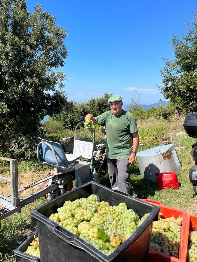 I Tre Grappoli Villa Corniglia Eksteriør bilde