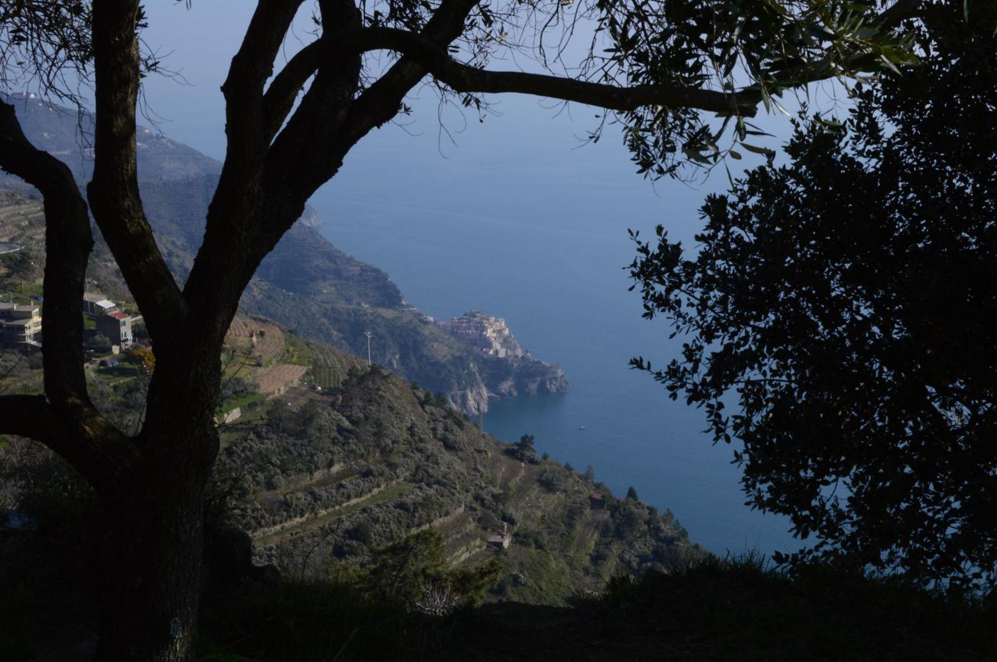 I Tre Grappoli Villa Corniglia Eksteriør bilde