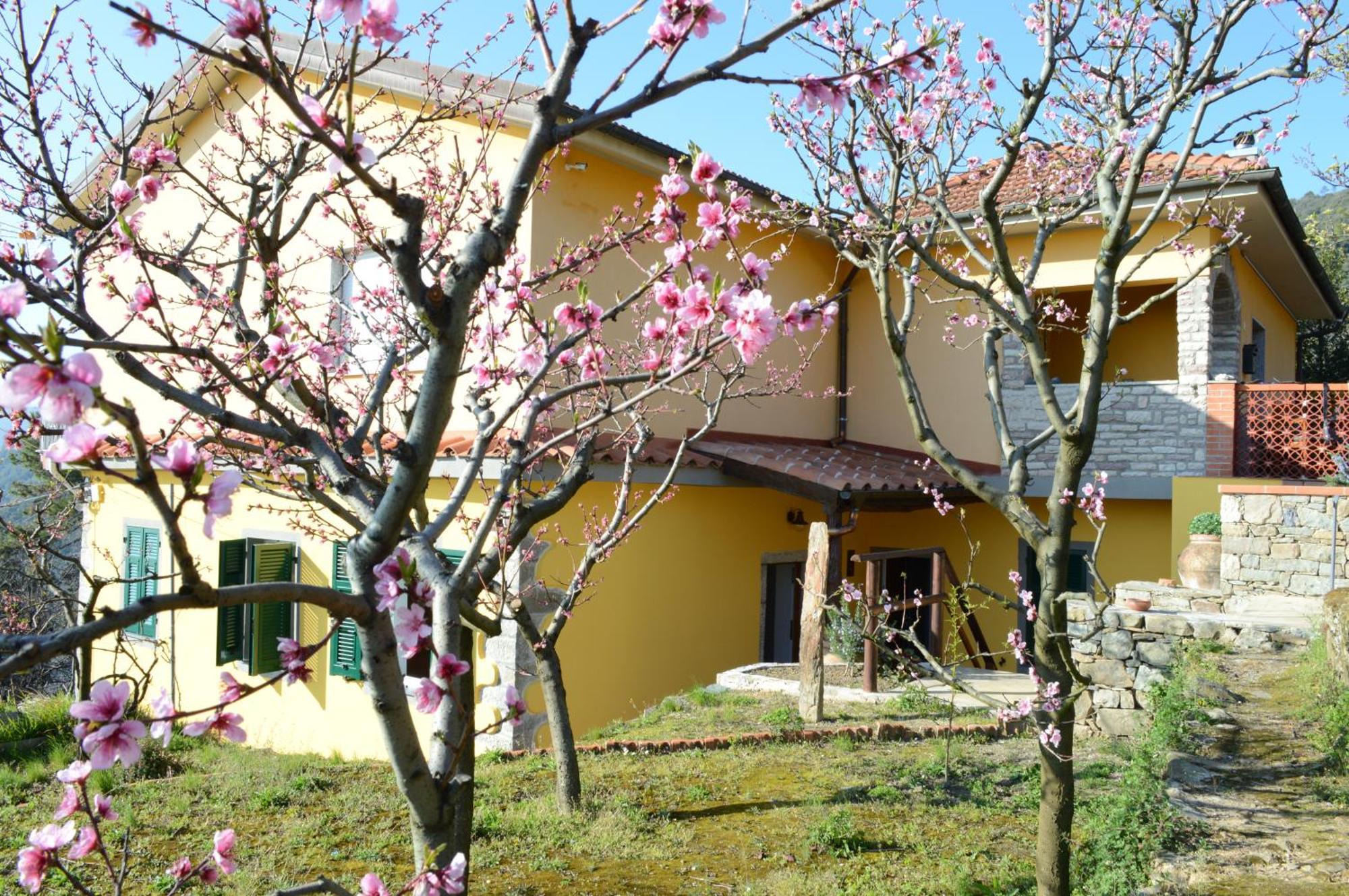 I Tre Grappoli Villa Corniglia Eksteriør bilde