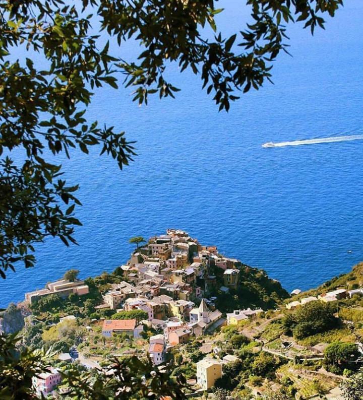 I Tre Grappoli Villa Corniglia Eksteriør bilde