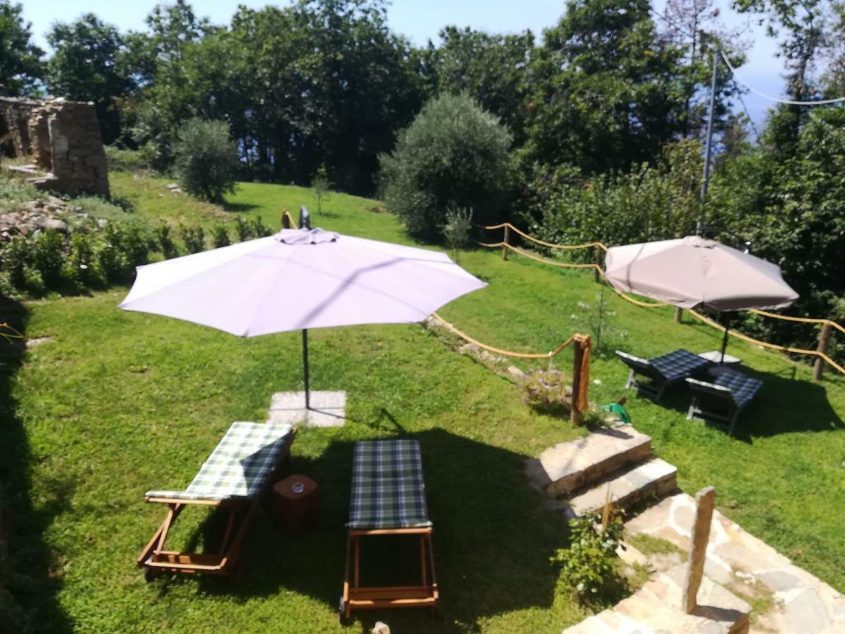 I Tre Grappoli Villa Corniglia Eksteriør bilde
